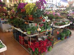 -双季花艺园艺市场(浦东店)