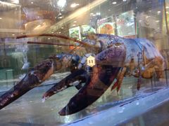 -新兴家喻酒家·羊城名宴(昌岗店)