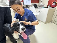 -御宝贝24h宠物医院·转诊中心·CT核磁血透中心(厦门总院)
