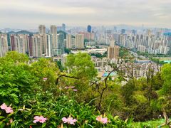 -板樟山森林公园