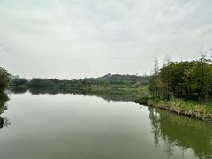 -广东花都湖国家湿地公园