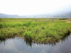 -腾冲北海湿地
