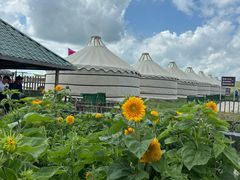 -186彩带河