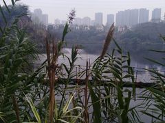 -重庆彩云湖湿地公园