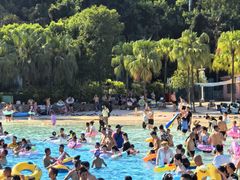 -重庆海昌加勒比海水世界