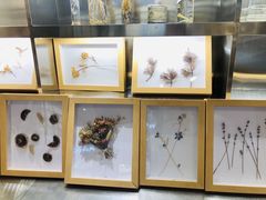 -植物学家的女儿(北马道巷店)