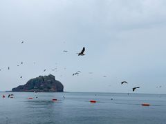 -棒棰岛宾馆景区