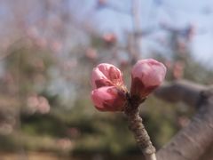 -三里河公园
