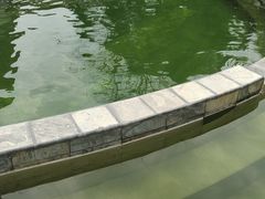 -花水湾第一村温泉大酒店