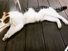 -UNIUNI(凯瑟琳广场店)