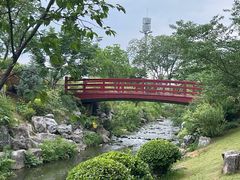 -羊山湖公园