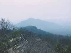 -紫金山山顶公园