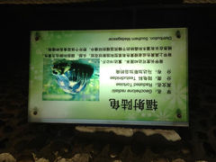 8.7-上海大自然野生昆虫馆