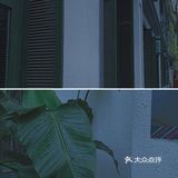 拍出雨天🌧️的静谧与情绪！