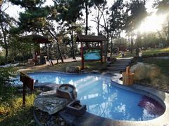 -东海森林温泉度假酒店