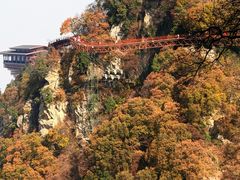 -少华山国家森林公园