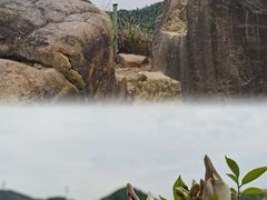 -南山植物园