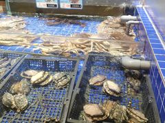-粤珍轩.创始店.始于2001(含光门店)