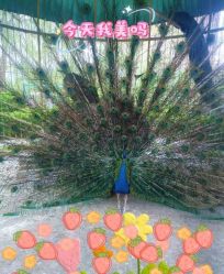 -宝馨月月子中心(友谊医院店)