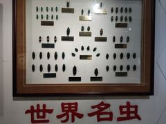 -上海昆虫博物馆