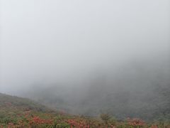 -大围山国家森林公园