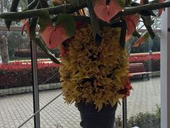 iphone_upload_pic-上海鲜花港