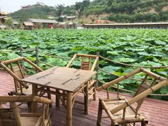 -渭南桃花源民俗文化园