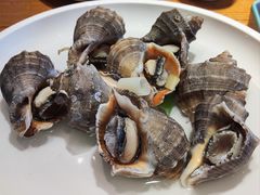 海螺-倍儿美海鲜排挡·非遗海鲜蒸饺(洋货店)