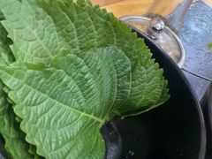 -臻牛烤肉