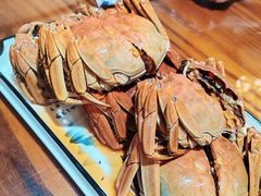 -呼吸森林·生态农庄农家乐私房菜