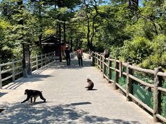 -峨眉山风景名胜区