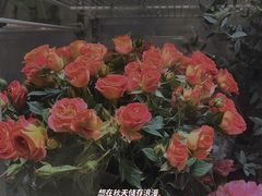 -花心思鲜花店(武昌徐东店)