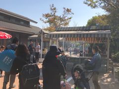 -吴淞炮台湾湿地森林公园烧烤区