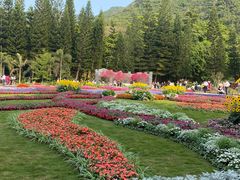 -深圳仙湖植物园