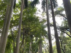 -燕晗山郊野公园