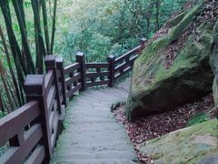 -缙云山景区