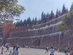 -贵州森林野生动物园