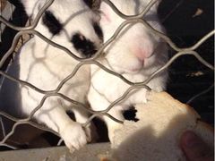 iphone_upload_pic-意大利农场度假村