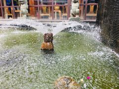 -云南荟·湖畔领宴(领事馆店)