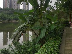 -重庆彩云湖湿地公园