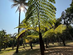 -中国科学院西双版纳热带植物园