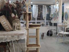 大堂-共舞时光猫咖·狗咖(新街口店)