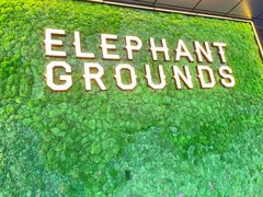 -大象园ELEPHANT GROUNDS(万象天地店)