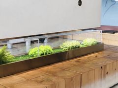 -喜茶(永旺梦乐城店)