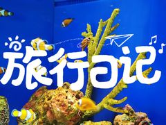 -上海海洋水族馆