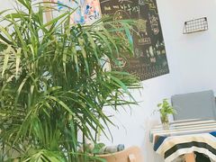 -树咖啡tree coffee