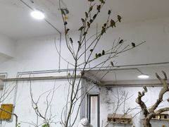 -哈尔滨北方森林动物园