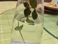 -天毓山庄·餐厅