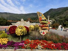 -北京十三陵国家森林公园蟒山景区