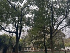 -西园戒幢律寺